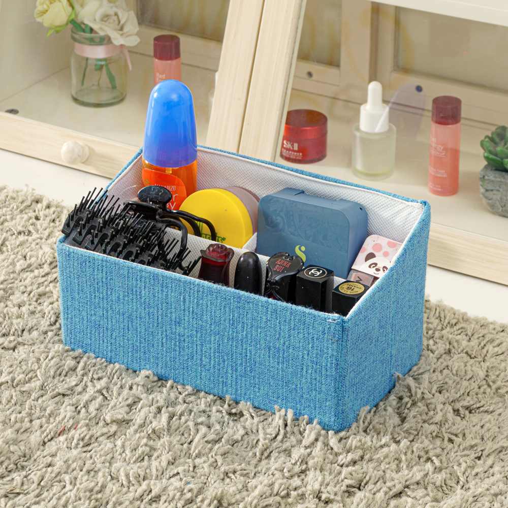 Rei Organizer (Blue)    